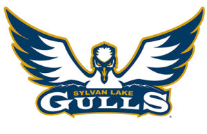 Sylvan Lake Gulls - Sylvan Lake RV